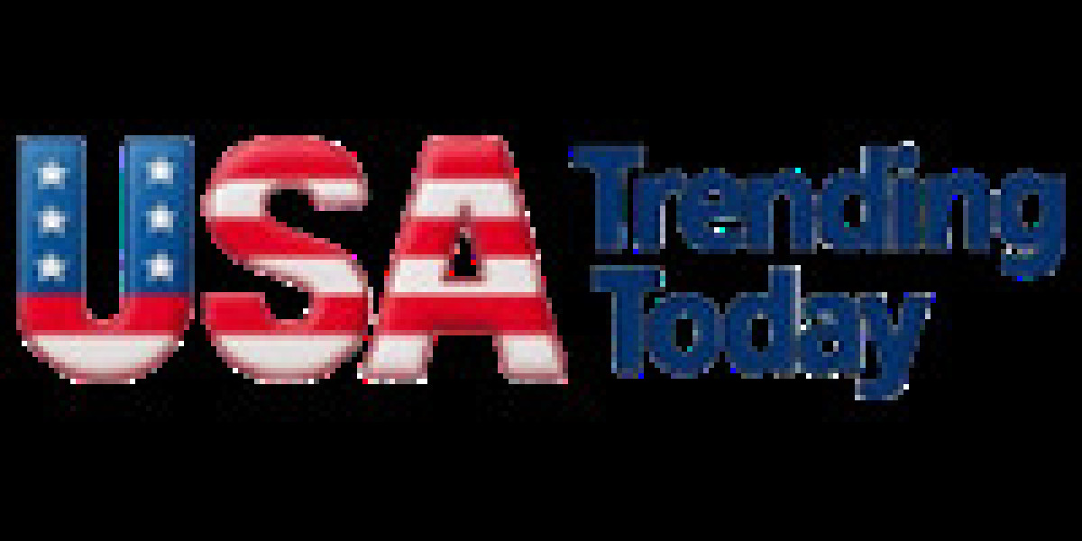 The Spectrum of Digital Curiosity: What America is Really Searching For