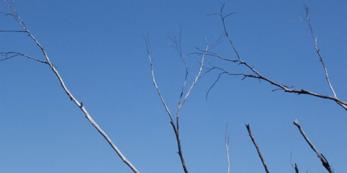 Best Online Casinos in Australia Top Real Money Casinos in 2025