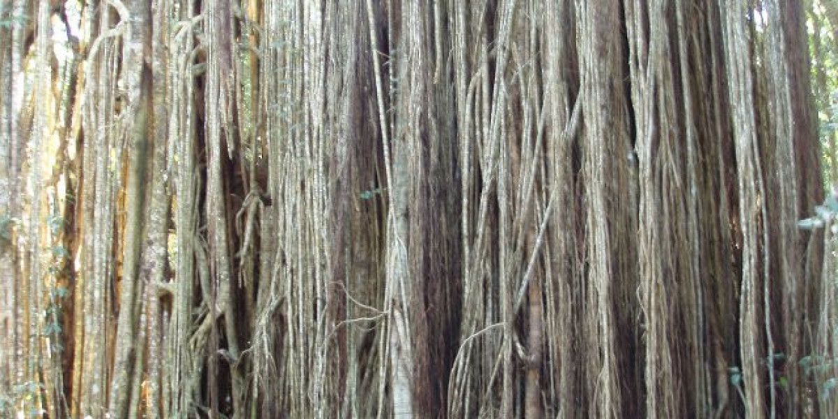 Rocket Play ᐉ Best Online Casino in Australia Get 10,000 AUD + 300 FS