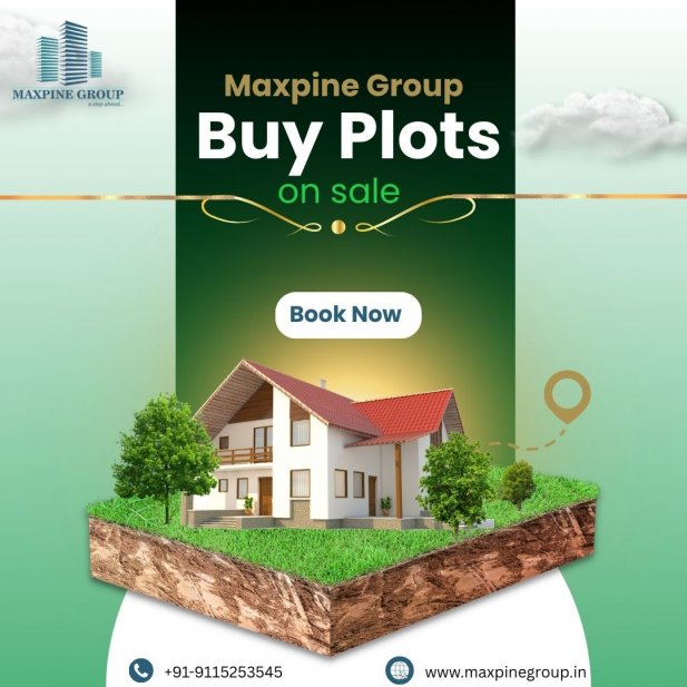 Plots Near Jewar International Airport – Premium Investment Opportunity by Maxpine Group Article - ArticleTed -  News and Articles