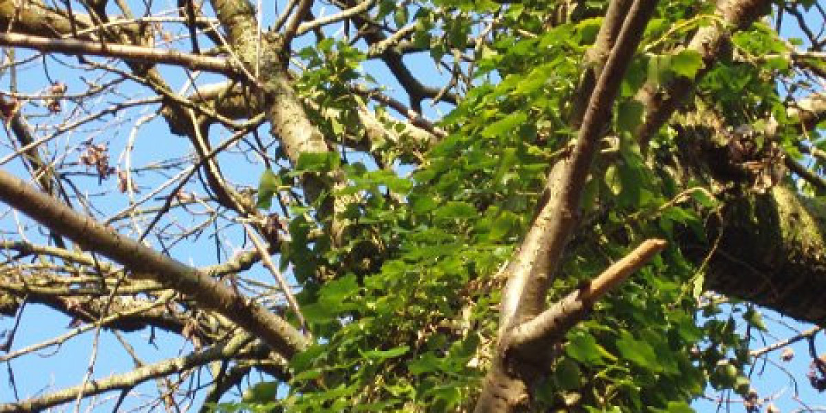 Login & Get Woo Casino Bonus Up to $100 + 150 FS