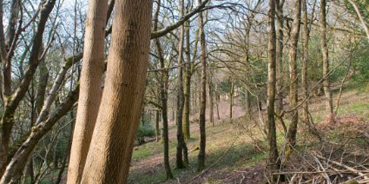 Casino Mate Australia Trusted Online Casino for Real Money Play