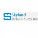 skyland metal Profile Picture