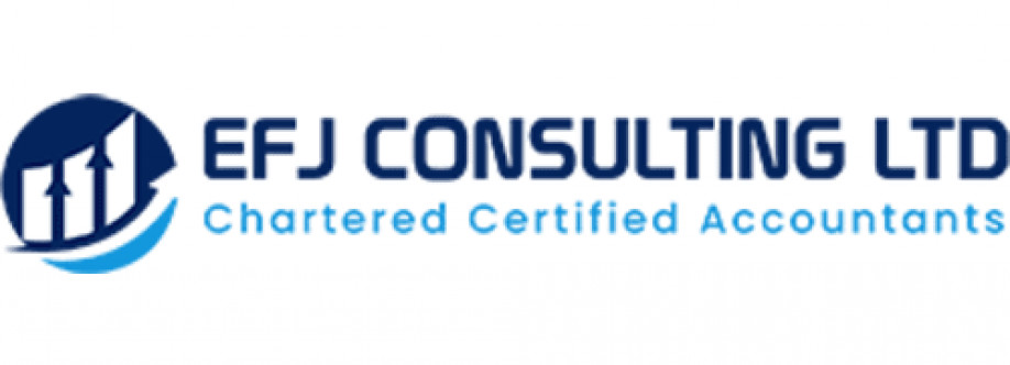 EFJ Consulting Cover Image