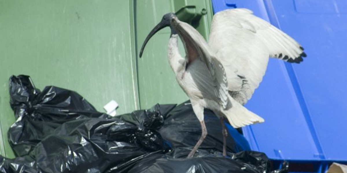 The Star in Pyrmont, New South Wales, Sydney, Australia