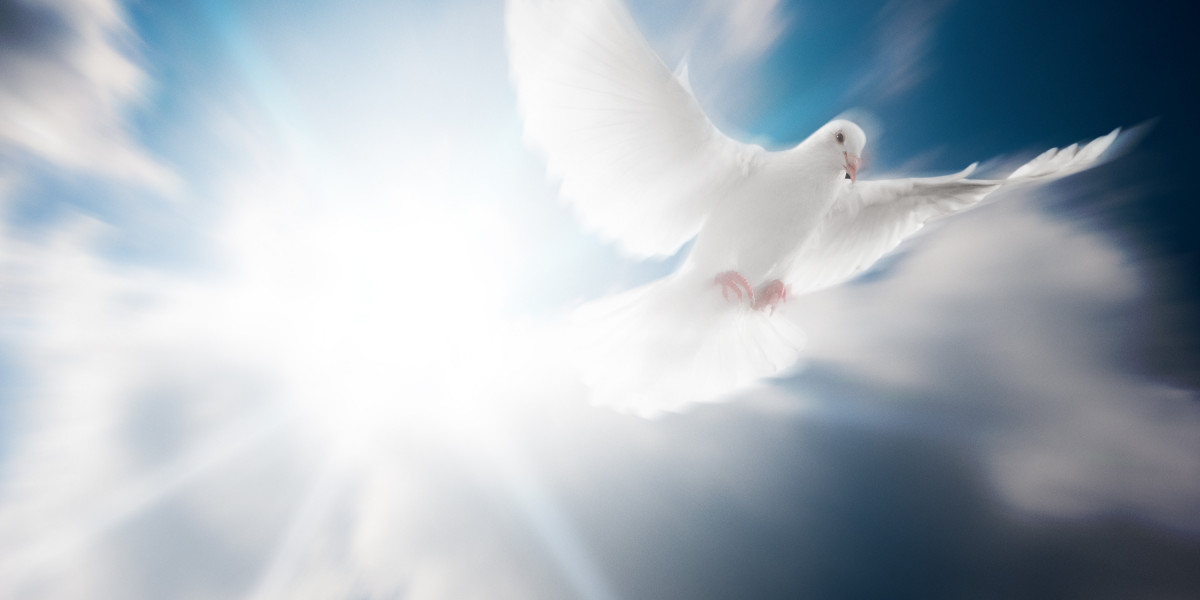 Effective Treatments For Erectile Dysfunction: A Complete Overview