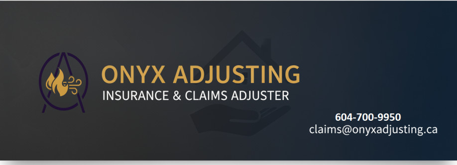 Onyx Adjusting Cover Image