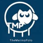 The Merino Polo Profile Picture