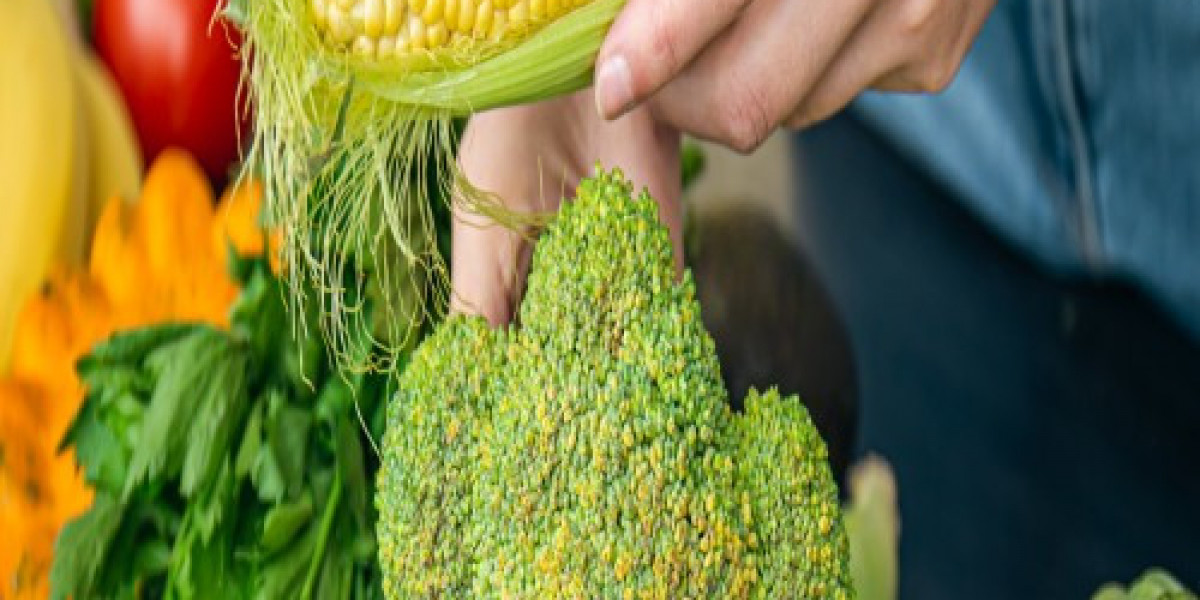 Food Grade Corn Grits Export India: Industry Insights, Quality Standards, and Global Demand