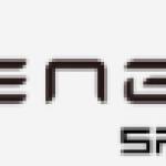 Engwe España Profile Picture