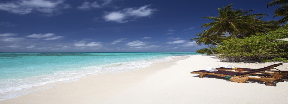 bookflight strip Cover Image