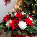 Black Petals Profile Picture