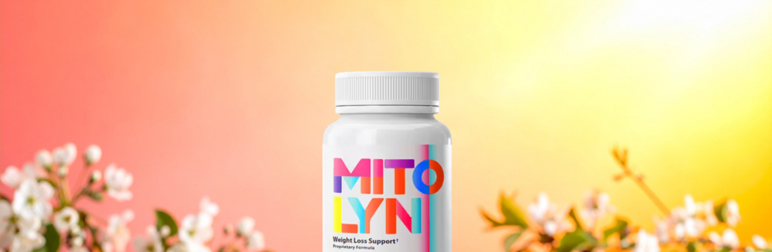 Moon Light Cover Image