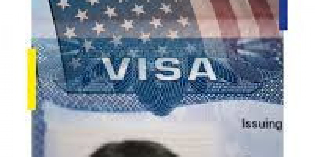 Passo a passo para solicitar o eVisa para os EUA