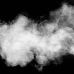 Alies Lii Profile Picture