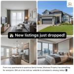 Modcasa modcasa Profile Picture