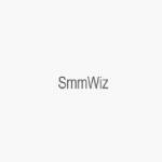 Smm wiz Profile Picture
