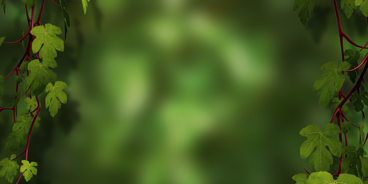 Revolutionizing Personal Loans: Instant Approval for Bad Credit Without Credit Checks