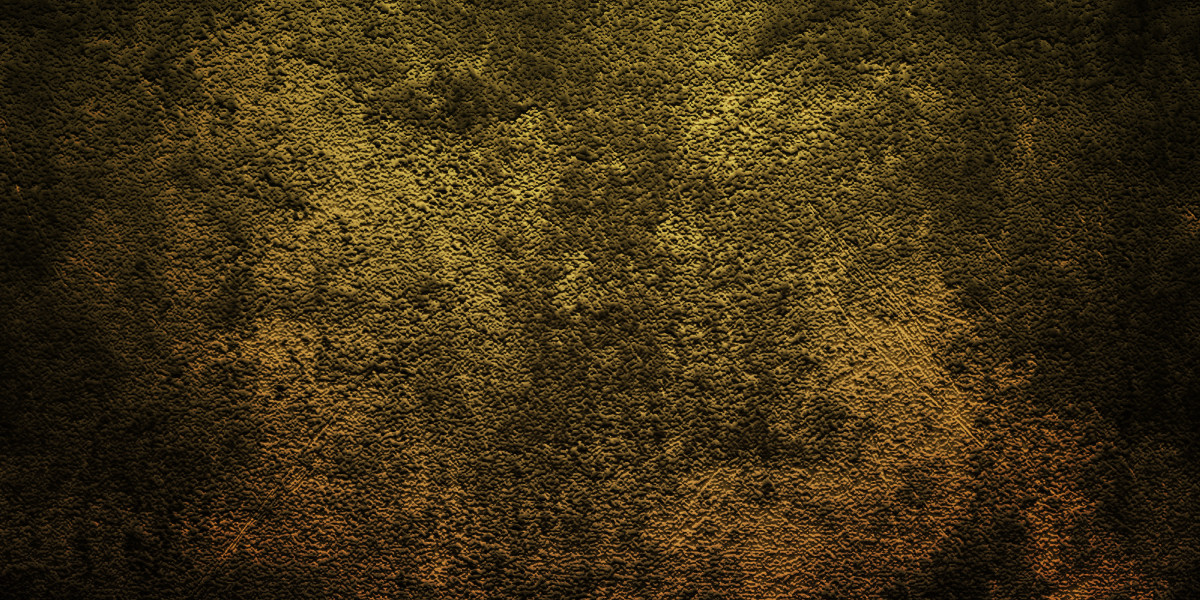 The Best Place to Buy Modafinil Online: A Comprehensive Case Study