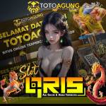 Totoagung Official Profile Picture