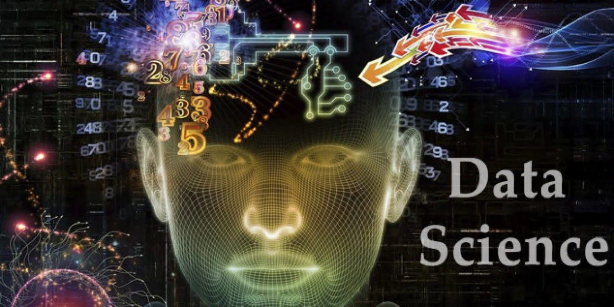 Is Data Science Coding?