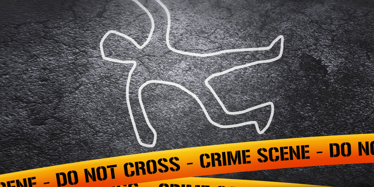 Revolutionizing Air Journey: The Rise Of Affordable Private Flights