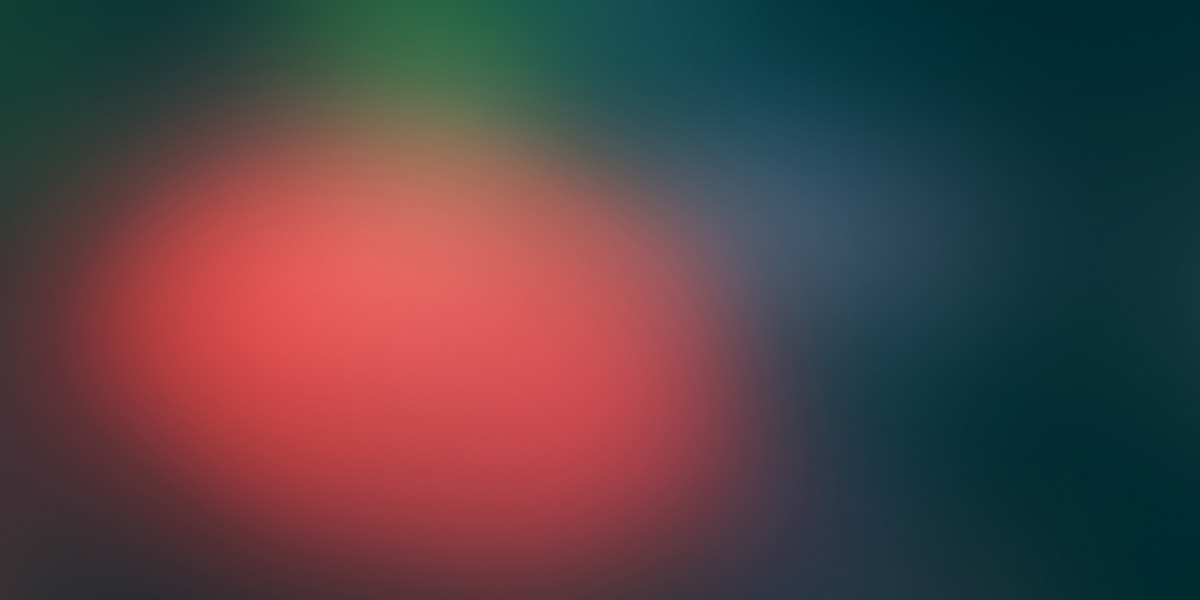 Understanding Real Loans with No Credit Check