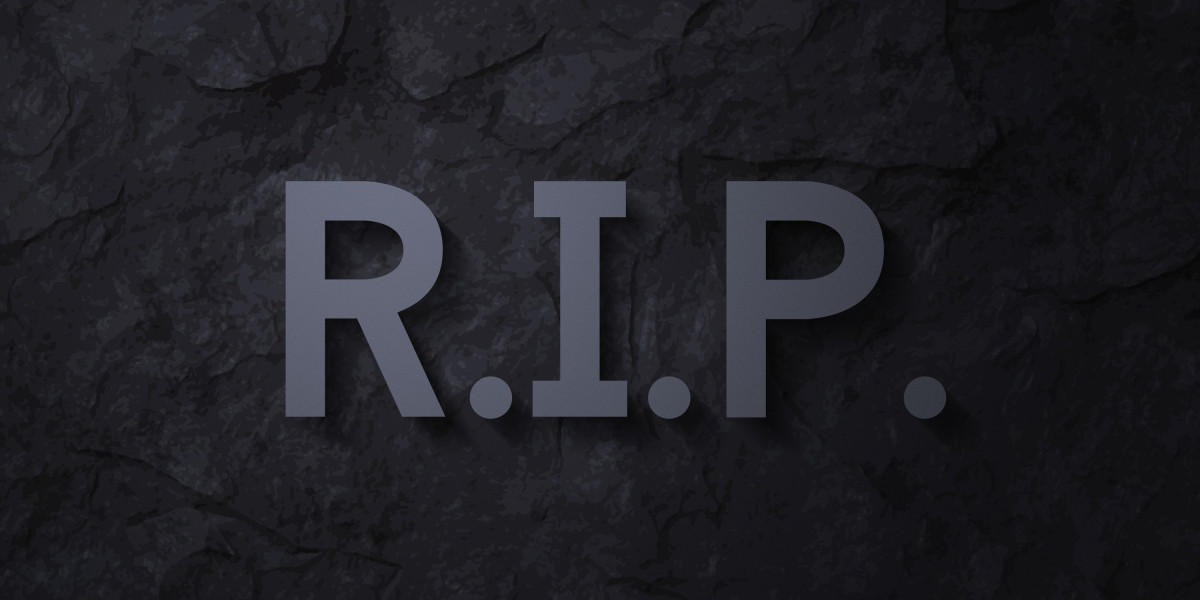 Understanding Hard Money Lenders Without Credit Checks: A Case Study