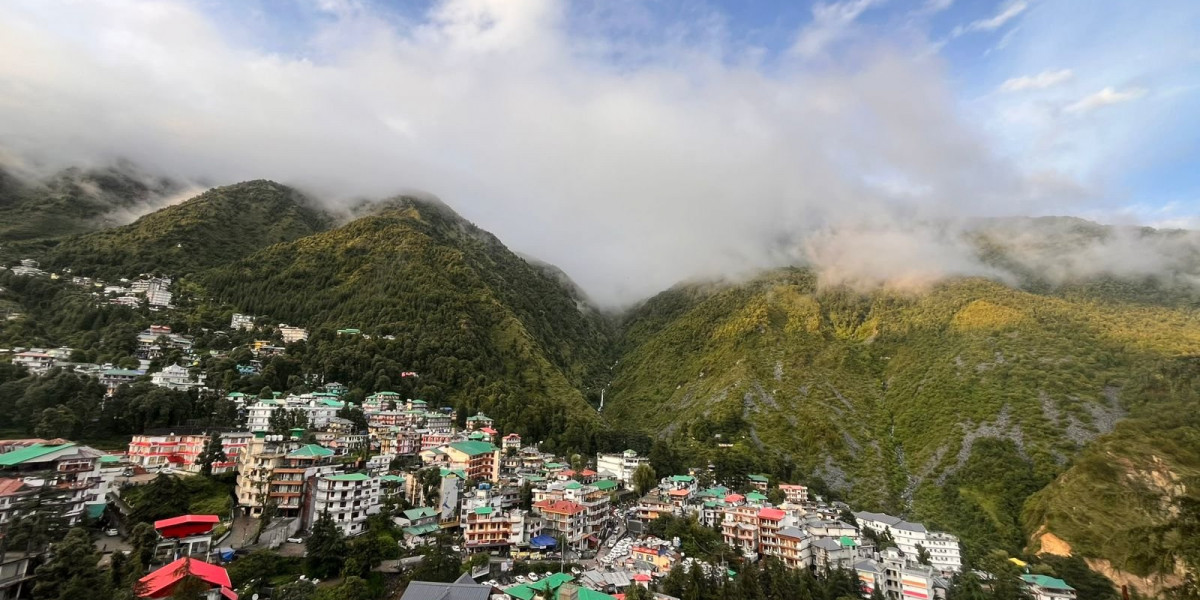 Triund Trek Mcleodganj: A Beginner-Friendly Himalayan Adventure