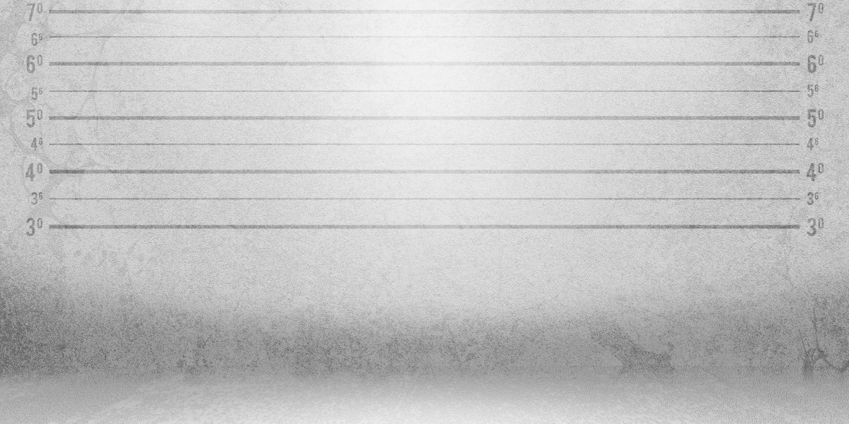 Exploring the Latest Offerings in the Private Jet Market: A Comprehensive Overview