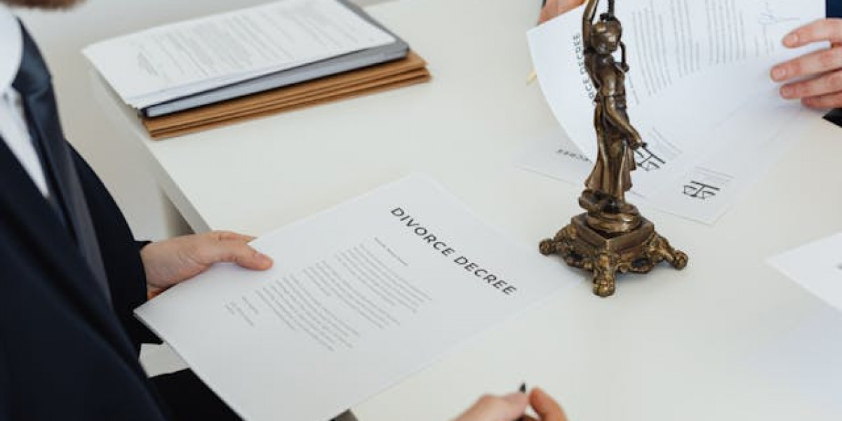 Why Every Ambitious Agent Should Explore FMO Insurance Now?