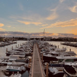 Marine Coat Profile Picture