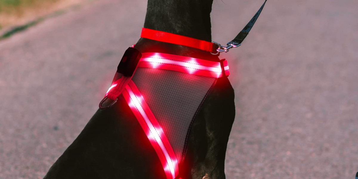 RadPaws LED Harness[Buy Official Store]– Does It Really Work?