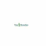 Vine Branches Childcare Profile Picture