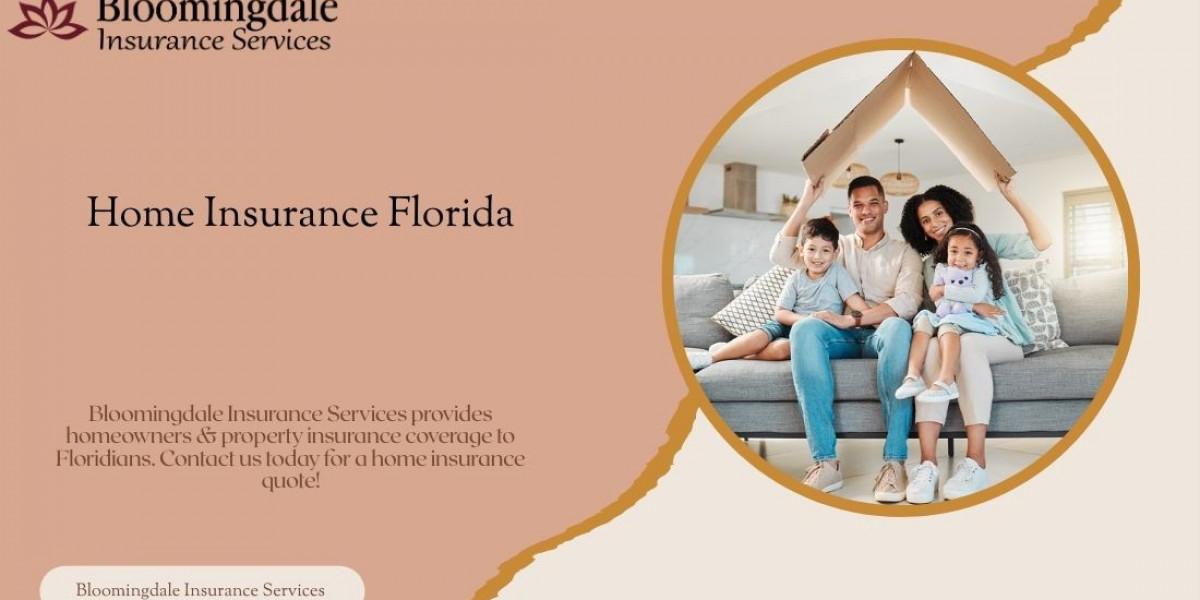 Comprehensive Home Insurance Florida by Bloomingdale Insurance Services