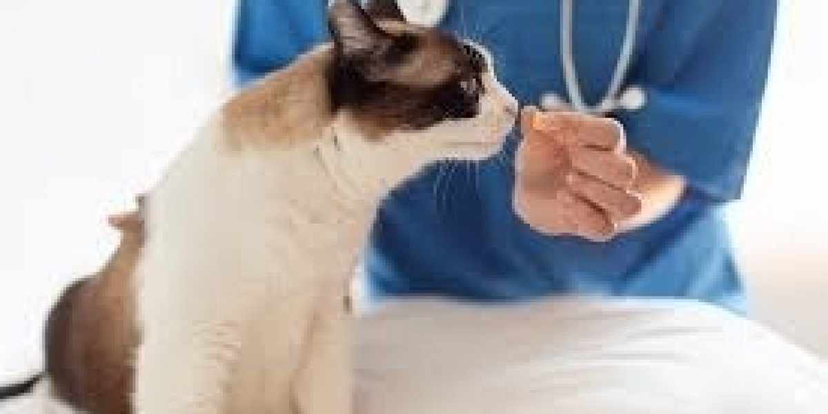 Comprehensive Guide to Pet Pain Management