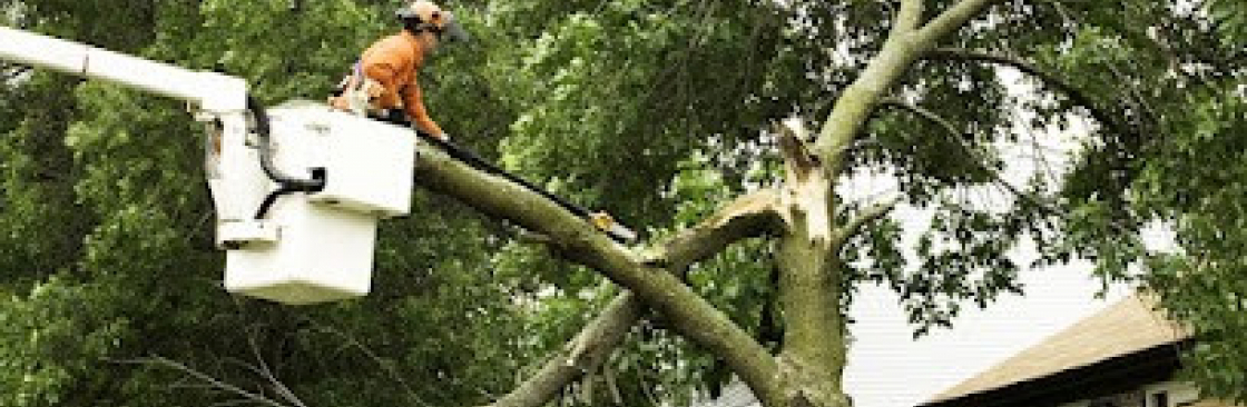 Alpha Arborcare LLC Cover Image
