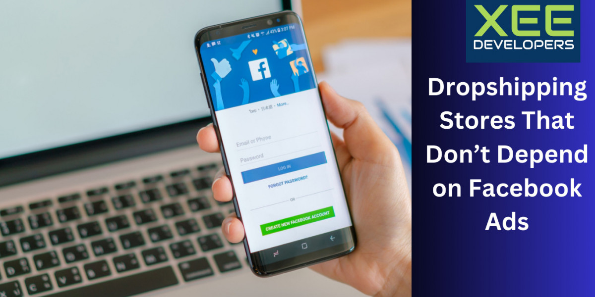 Dropshipping Stores That Don’t Depend on Facebook Ads