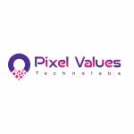 Pixel Values Technolabs Profile Picture