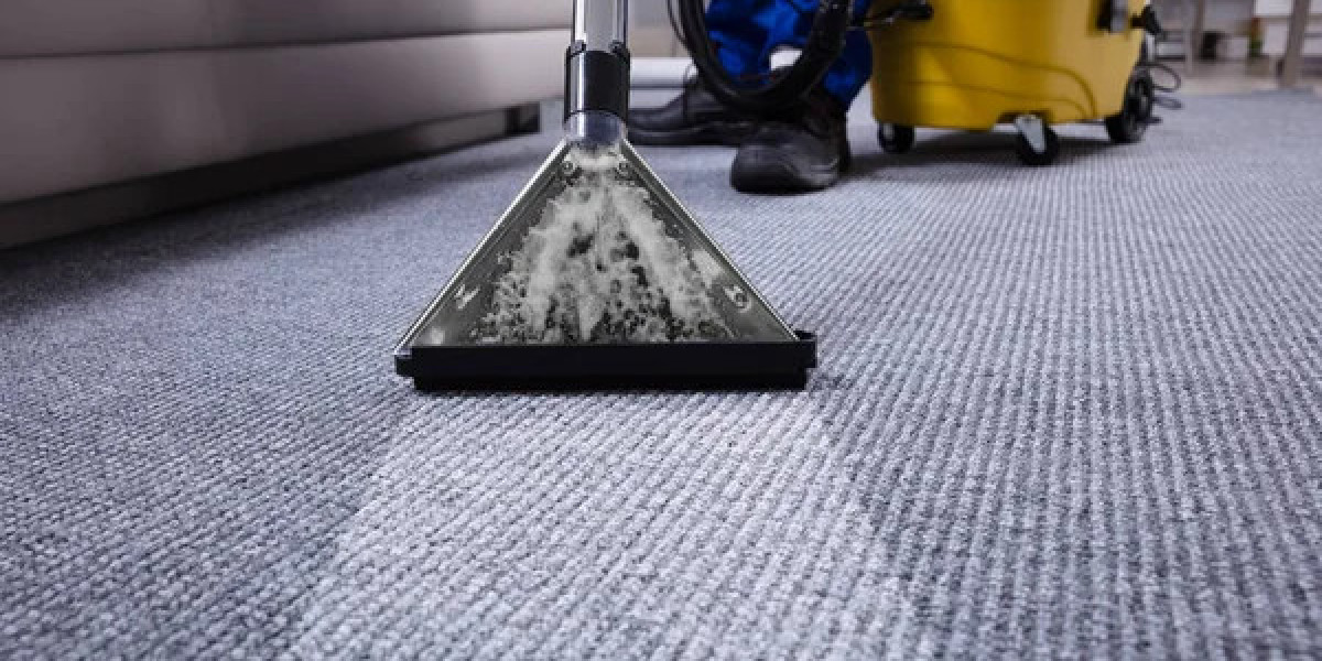Carpet Cleaning Services for Maintaining Rental Home Quality