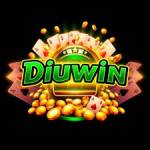 Diuwin game Profile Picture