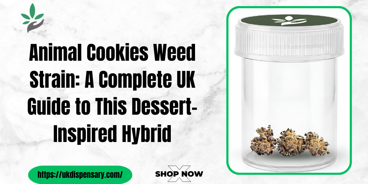 Animal Cookies Weed Strain Guide UK | Premium Hybrid Overview
