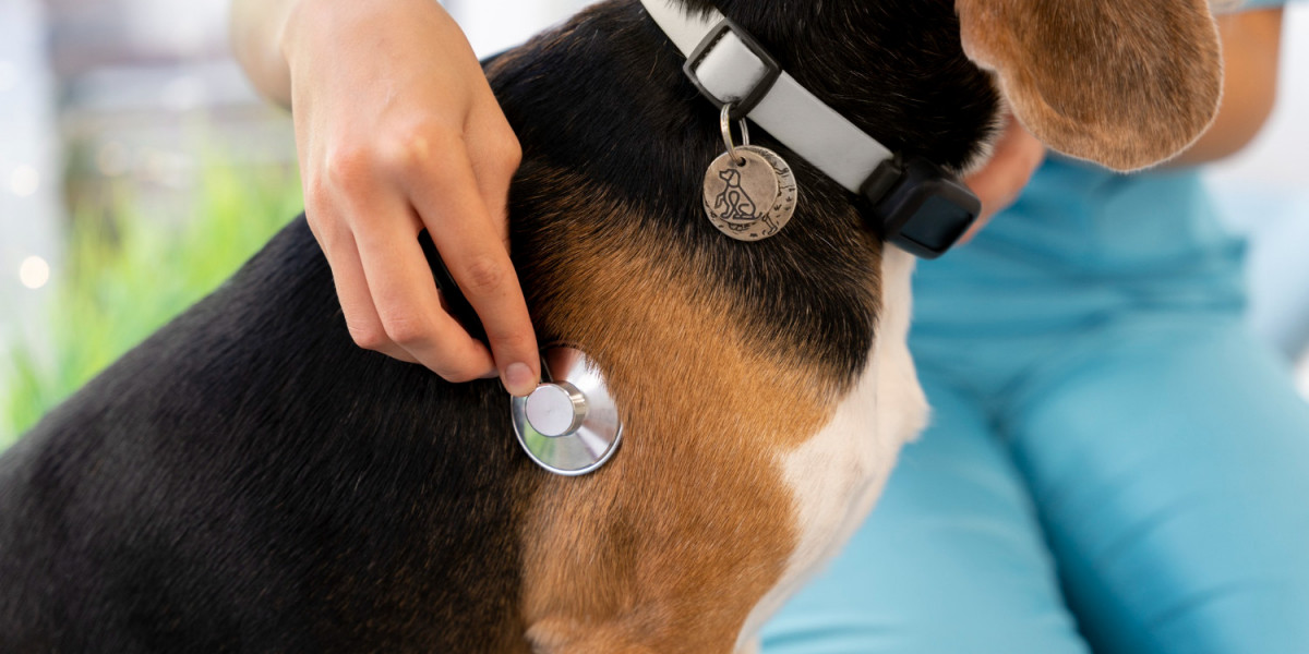 NexGard Without Vet Prescription