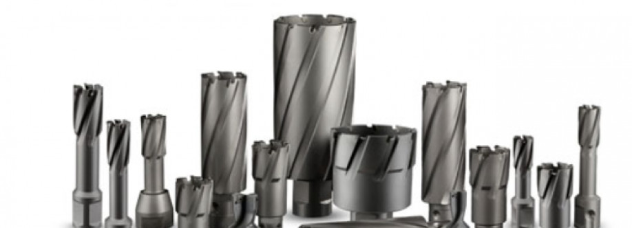 DIC Tools India Cover Image