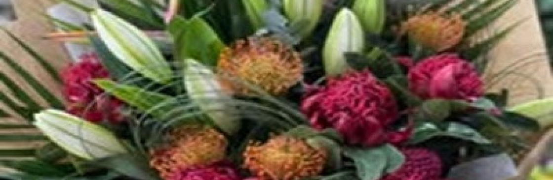 Mathews Camroon Cover Image