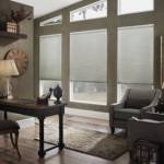 Shades LA Profile Picture