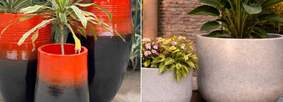 DNF Ceramics Cover Image