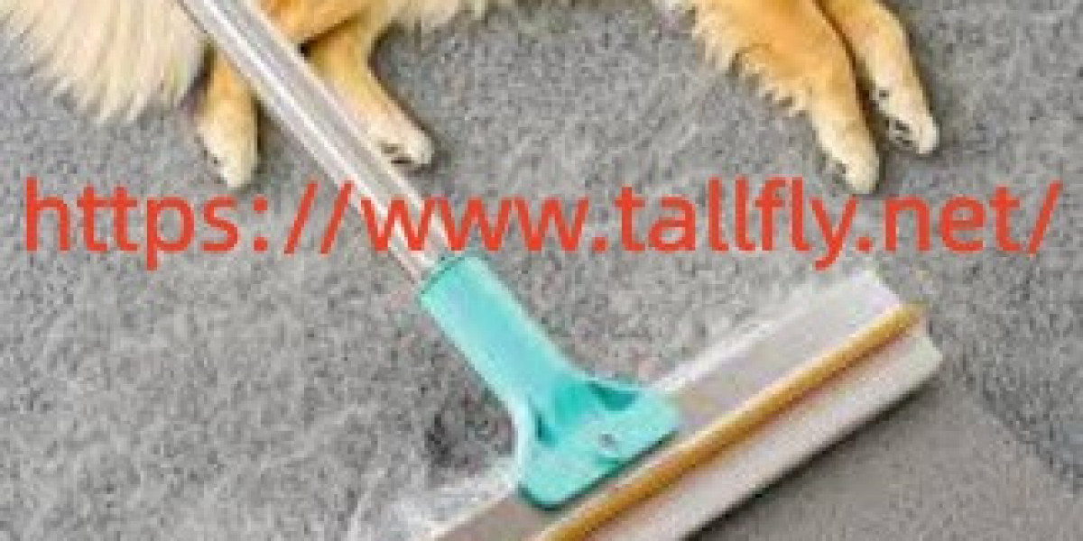 Could Tallfly Pet Hair Scraper Reduce Time Spent On Cleaning