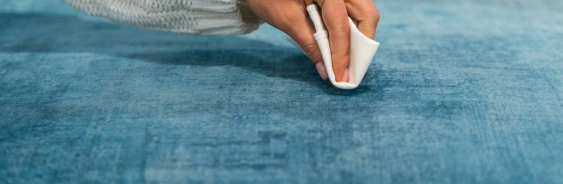 Pari Drycleaners Cover Image