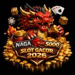 Charting Your Success with NAGA5000 2026 Profile Picture
